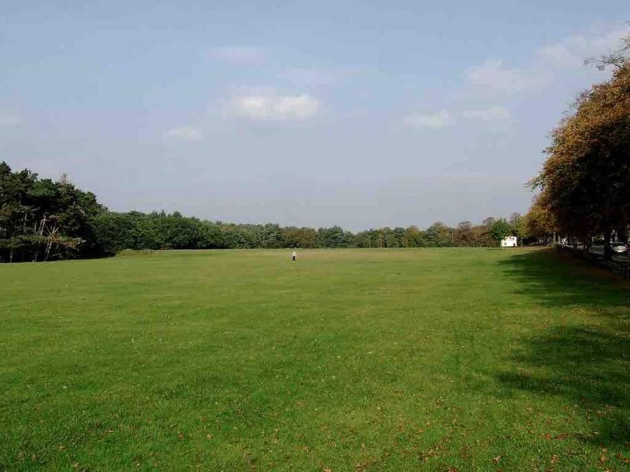 Spacious 4 Bed Rooms, Parking, Garden And Near Parks, Beaches And University Bournemouth Eksteriør bilde